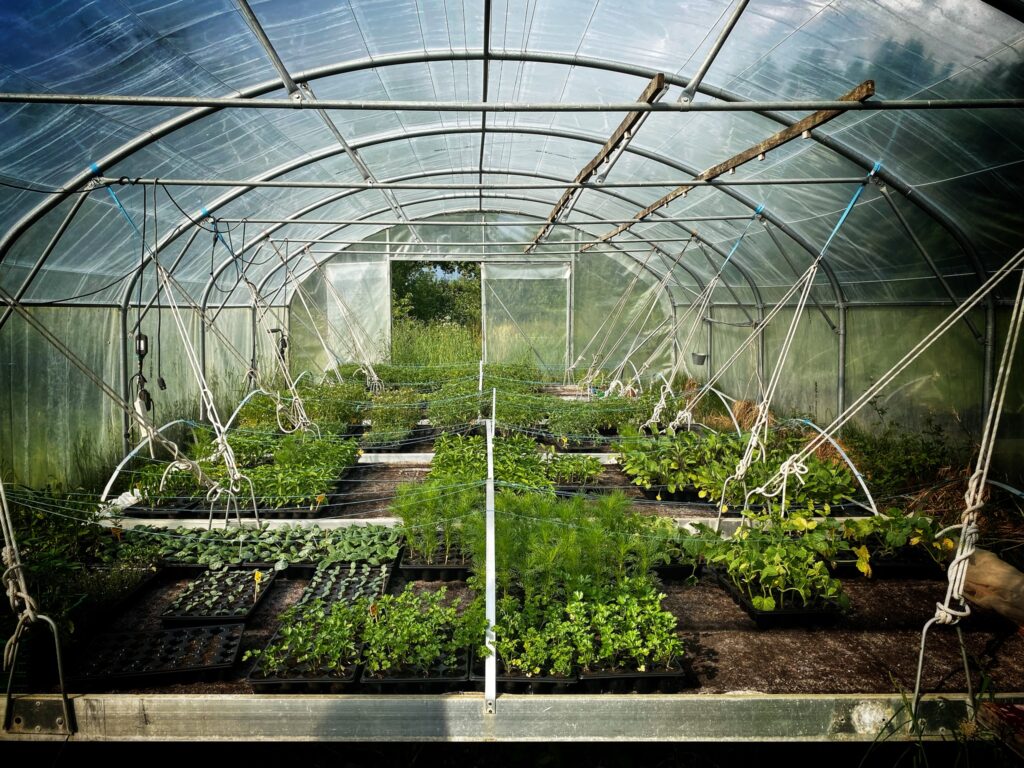 Vente de plants, marché et frites à la Ferme à Cultures